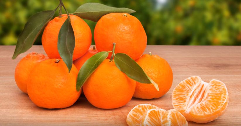 Kundenspezifische Bestellungen von Bio-Orangen - Frische garantiert